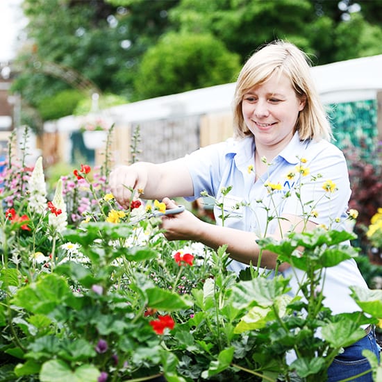 Startseite 17 Garten