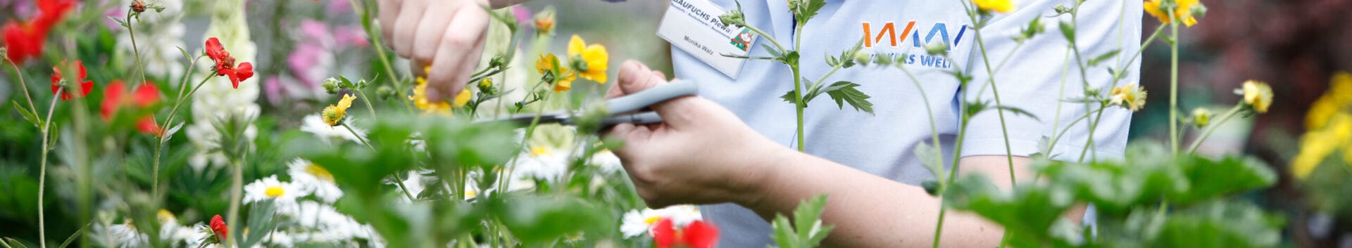 Garten 1 garten header scaled BAUFUCHS Plewa - Baumarkt Vreden